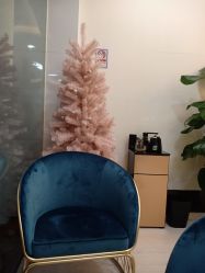 -DEM缔怡美科技美容