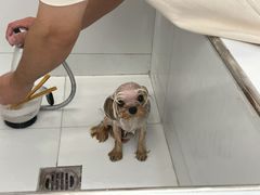 -comecome来吧宠物(奥克斯中心店)