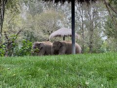 -北京野生动物园