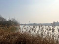 -盐城丹顶鹤湿地生态旅游区
