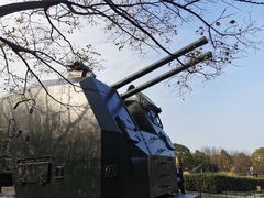-上海吴淞炮台湾国家湿地公园