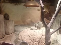 -正佳雨林生态植物园