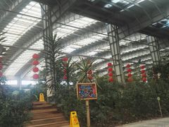 -御龙温泉度假村