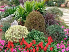 -东莞植物园