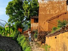 -杨家堂村