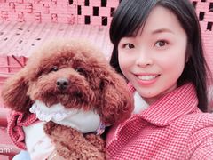 -石井坡(地铁站)