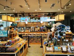-猫的天空之城概念书店(北戴河蔚蓝海岸店)