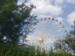 -雀儿山公园