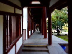 -西安青龙寺遗址景区