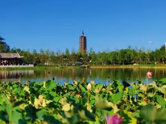 -西海子公园