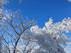 -中旅松花湖滑雪场