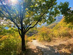 -玉渡山自然风景区