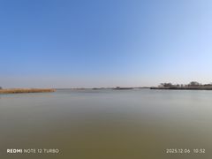 -盐城丹顶鹤湿地生态旅游区