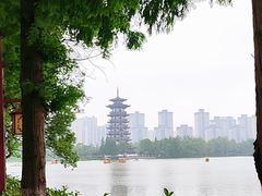 -洋湖国家湿地公园
