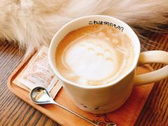 -猫的茶·猫咖