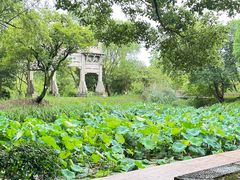 -西溪国家湿地公园