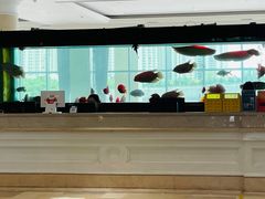 -鲤鱼门渔人码头自助餐厅
