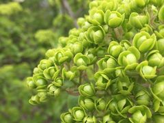 -上海滴水湖皇冠假日酒店