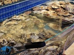 -乔哥铭洋海鲜自助(皇城恒隆广场店)