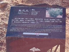 -新疆天山托木尔景区·大峡谷