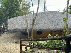 -海南槟榔谷黎苗文化旅游区