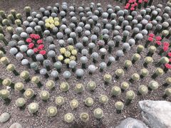 -南山植物园