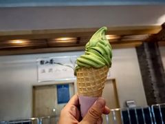 -陆羽泡的茶(集散中心店)