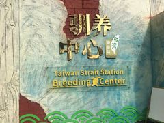 -广东惠东海龟国家级自然保护区