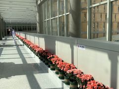 -佛山市妇幼保健院(新城院区)
