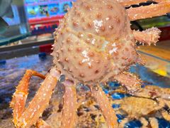 -好礼家海鲜•海肠捞饭大王(金沙滩念慈别墅店)