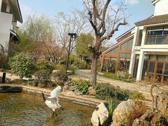 -广富林宰相府酒店·水云间