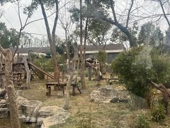 -武汉动物园