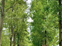 -洋湖国家湿地公园