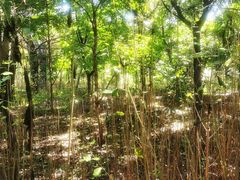 -长春市南湖公园