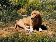 -新疆天山野生动物园