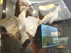 -下渚湖国家湿地公园科普馆