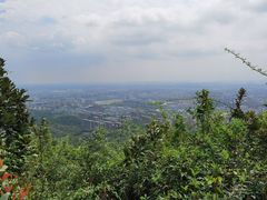 -杭州半山国家森林公园