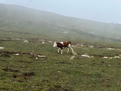 -灵山