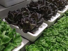 -九孔·筒骨莲藕汤锅(大明宫万达店)