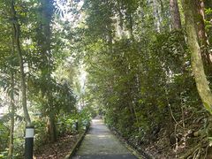 -槟城植物园