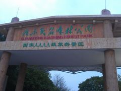 -广东茂名森林公园