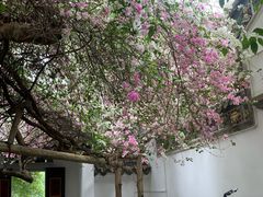 -深圳国际园林花卉博览园