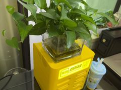 -张钰强中医正骨推拿连锁(华发商都店)