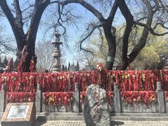 -大槐树寻根祭祖园