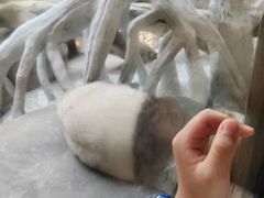 -宁波野生动物园