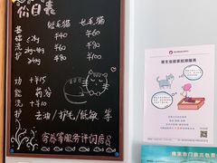 -叮叮猫咪生活馆