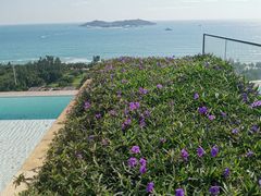 -瑰丽酒店·海吧·天际下午茶·现场DJ·天台酒吧