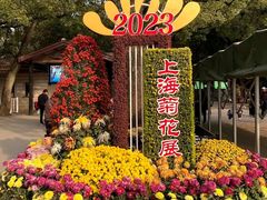 -上海共青森林公园