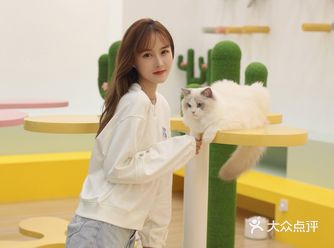 不能错过的可可爱爱未卡猫空间