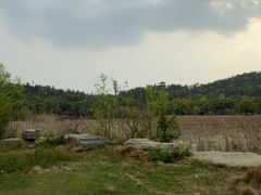 -东湖落雁景区